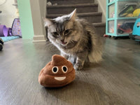 🎁Lowest price ever💥Funny  Poop Plush Toy – Makes Fart Sounds!