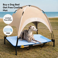 Breathable Cooling Elevated Dog Bed With Cooling Mat