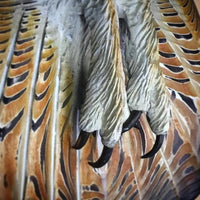 Wood Wall Decoration – Owl “Majestic”