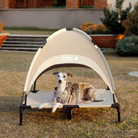 Breathable Cooling Elevated Dog Bed With Cooling Mat