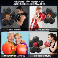 Interactive Smart Boxing Machine – PunchTech